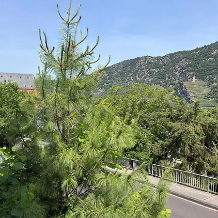 Rheinblick 549 In Mit Panoramablick Auf Den Rhein * Oberwesel